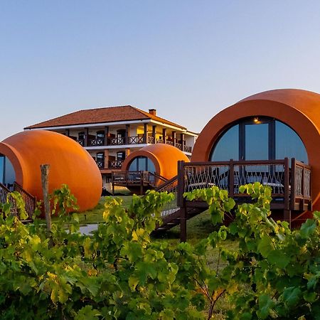 Hotel Qvevrebi Tel Avi Exterior foto